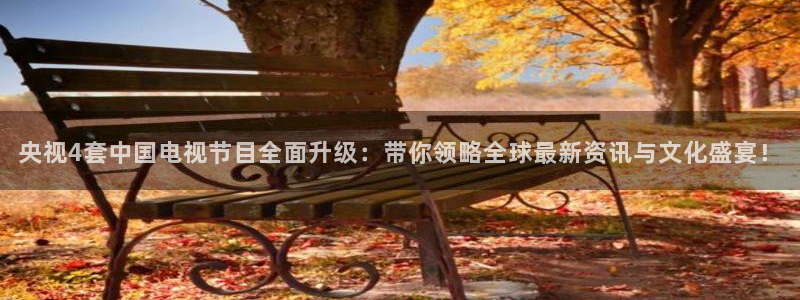 nba直播在线观看免费直播吧：央视4套中国电视节目全面升级：带你领略全球最新资讯与文化盛宴！