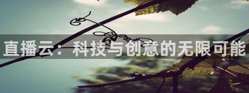 24直播网 nba直播吧：直播云：科技与创意的无限可能