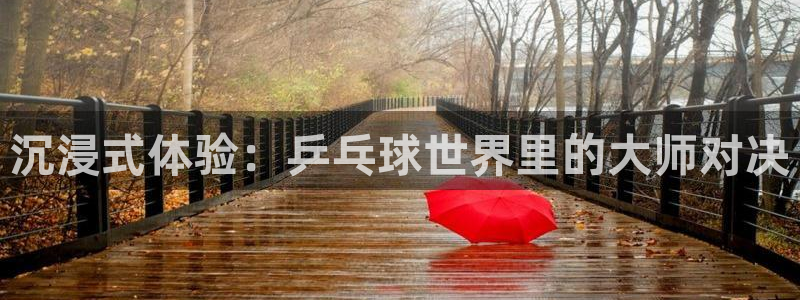 【jrs直播吧：沉浸式体验：乒乓球世界里的大师对决