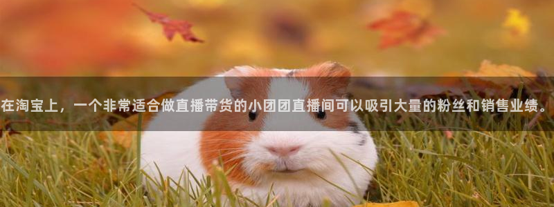 龙门直播吧：在淘宝上，一个非常适合做直播带货的小团团直播间可以吸引大量的粉丝和销售业绩。